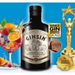 GinSin Wins