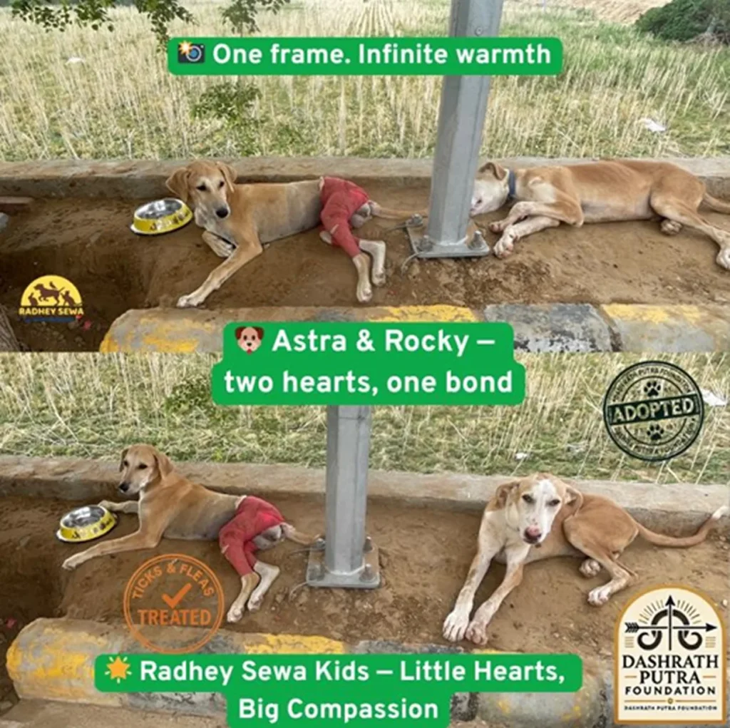 Dashrath Putra Foundation