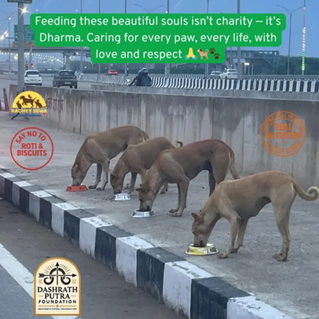 Dashrath Putra Foundation